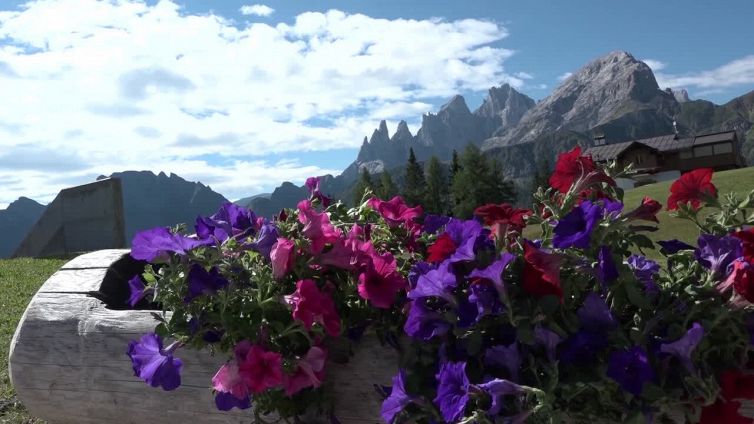 "La mia terra. Concerto": a Falcade oltre mille persone per la musica tra le Dolomiti