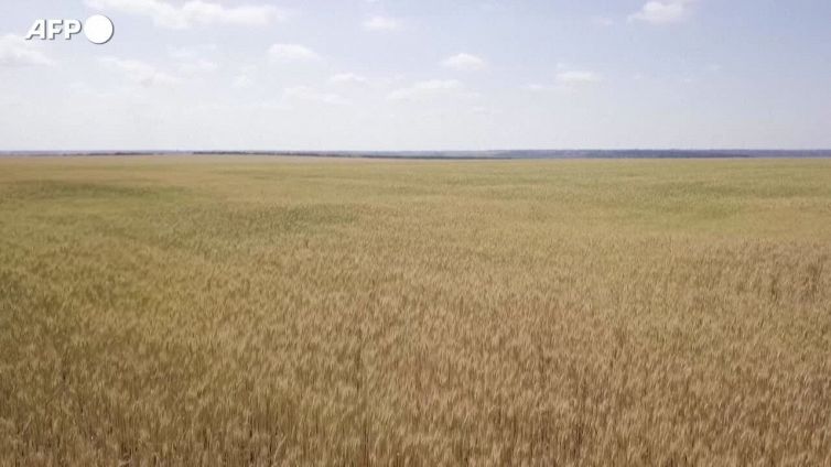 Prende il largo la prima nave con il grano ucraino