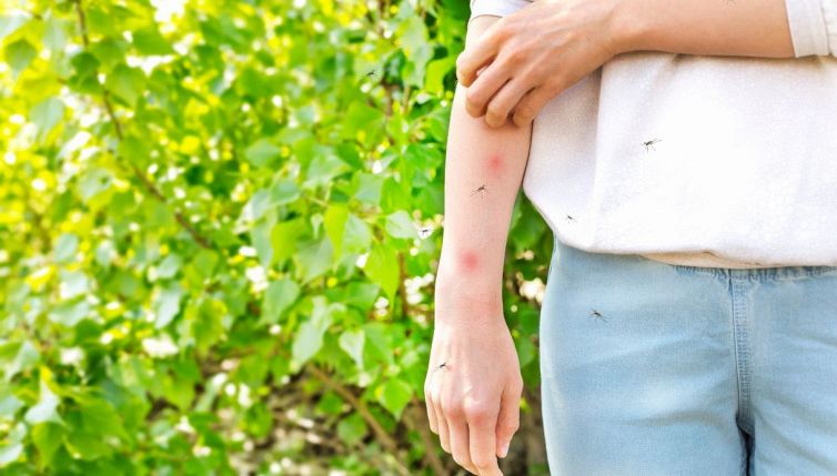 I rimedi contro le zanzare che non funzionano