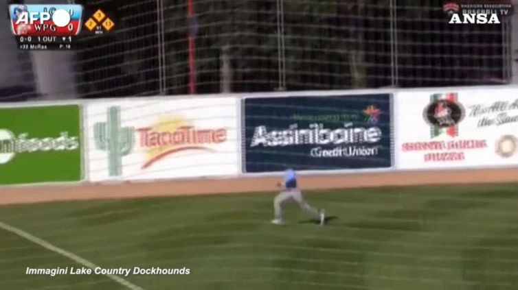 Baseball, catch al volo ma si schianta sugli spalti in Minor League