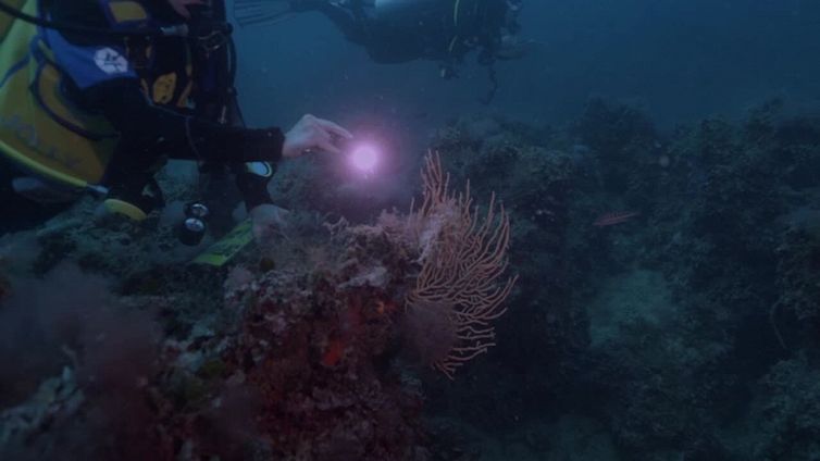 Tirreno come i Tropici, il mare tocca i 30 gradi
