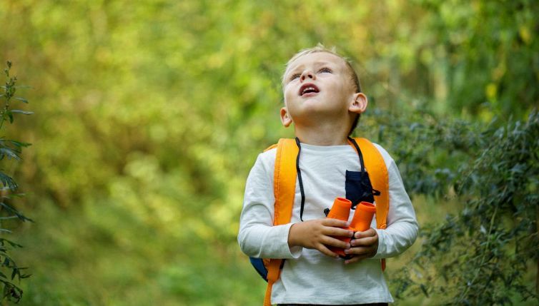 I bambini che credono crescano sugli alberi, cosa sappiamo