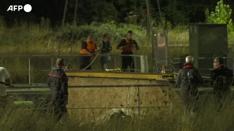 Francia, rimosso il beluga arenato nella Senna