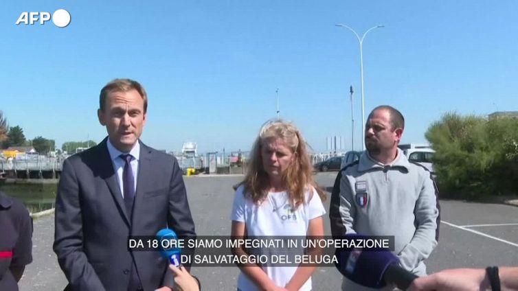 Francia, e' morto il beluga estratto dalla Senna