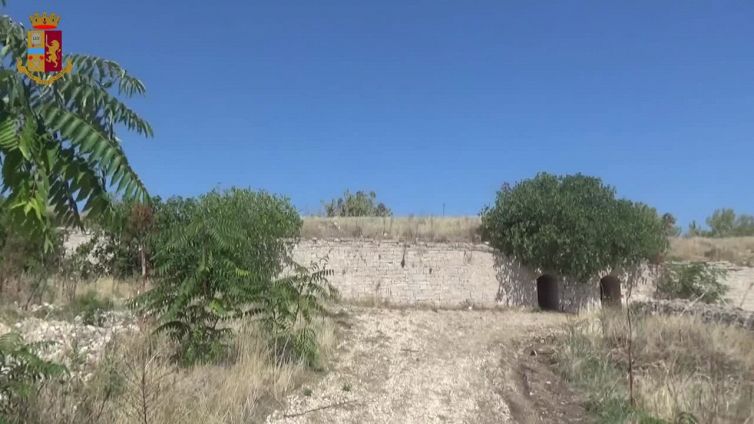 Sequestrato laboratorio nel Barese con 900 kg di marijuana