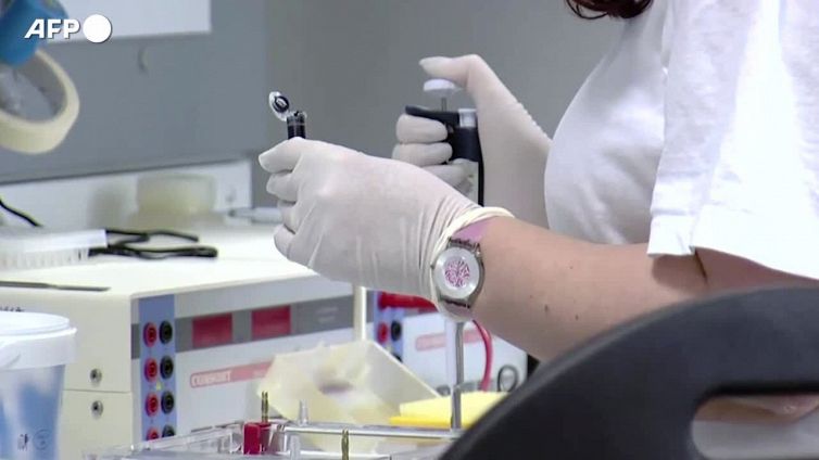 Da West Nile a coronavirus, AI cerca nuovi virus