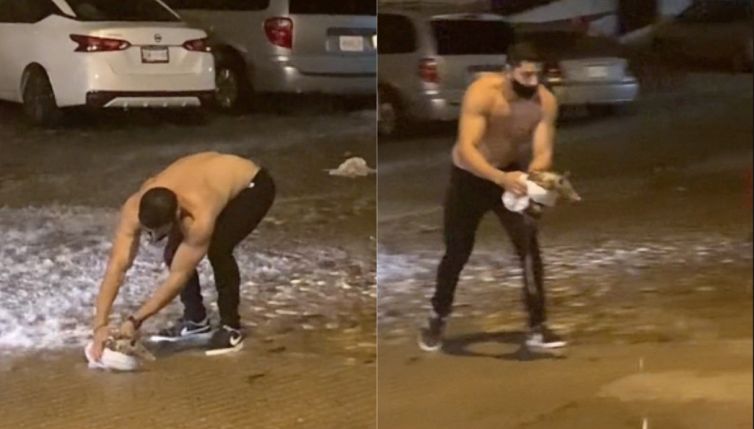 Durante un nubifragio salva il cucciolo: il video su TikTok