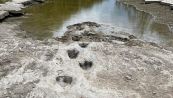 Scoperta sensazionale: trovate impronte di dinosauro in Texas