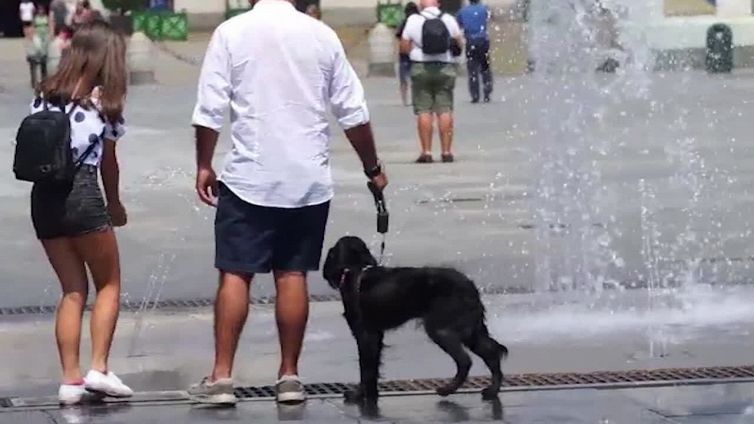 Ondate di calore sempre piu' frequenti fino al 2100