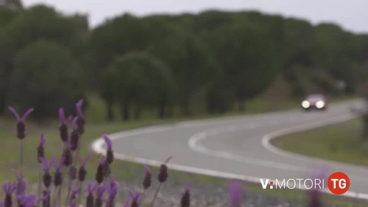 Auto e furti: numeri e curiosità