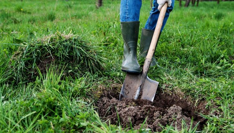 Scava nel giardino e trova un tesoro, la reazione inaspettata
