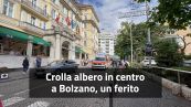 Crolla albero in centro a Bolzano, un ferito