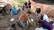 Archeologia, in Israele trovata una zanna di elefante di 500mila anni fa
