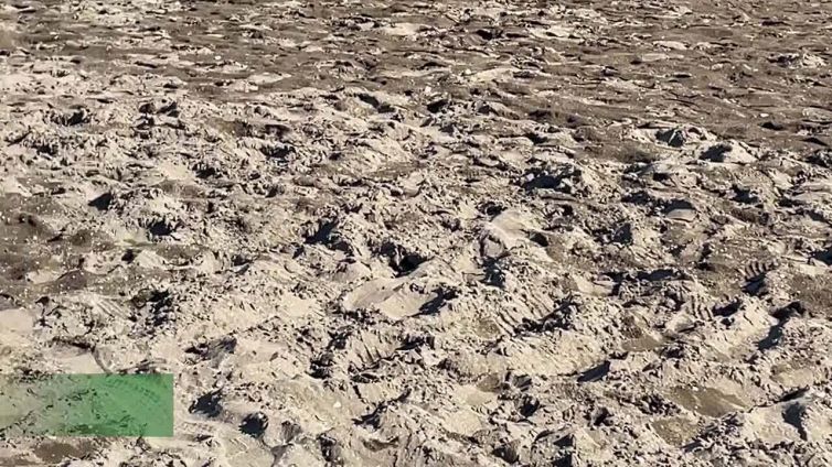 Jova Beach Party, Onu: "Gravi danni a Castelvolturno, era un ambiente che si stava rialzando"