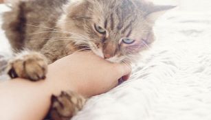 La trascina fuori dal letto, perché