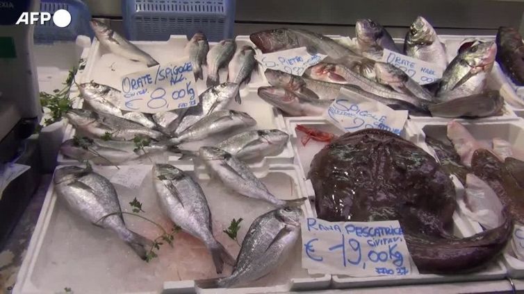 Caro bolletta pesa sul pesce, rischio rincari 20%