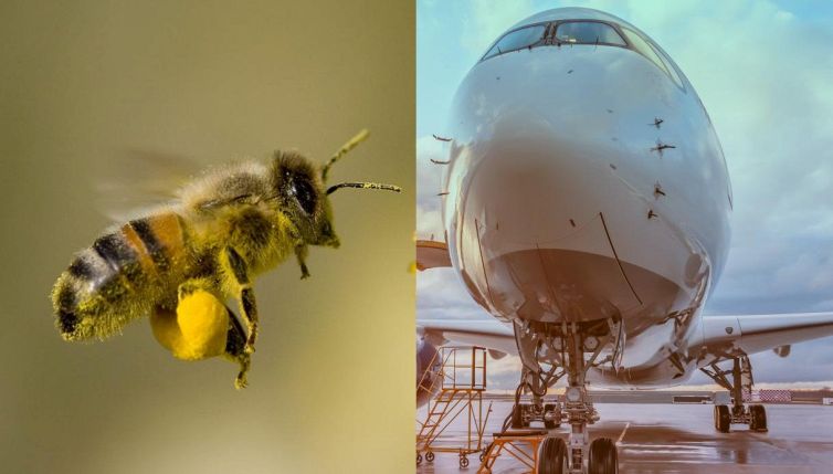 Ape contro aereo: chi vince lo decide il tribunale