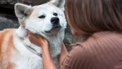 “Hanno maltrattato il mio cane”, racconta tutto su TikTok e le fanno causa