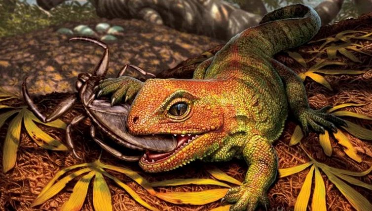 Sembra una lucertola, ma non lo è: la scoperta