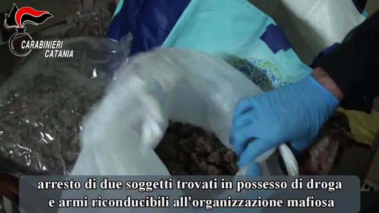 Mafia, decine di arresti nella maxi operazione "Sangue Blu"