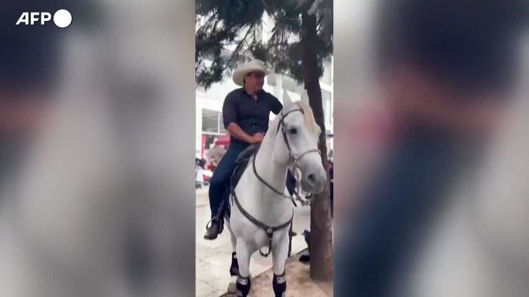 Colombia, senatore arriva a sorpresa in Parlamento a cavallo