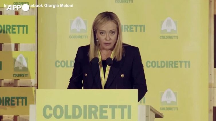 Meloni: "Strategia industriale per il paese, non faremo da soli"