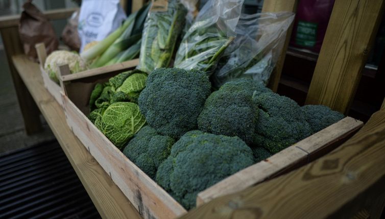 Tieni “broccoli e latte” nel congelatore per ridurre le bollette