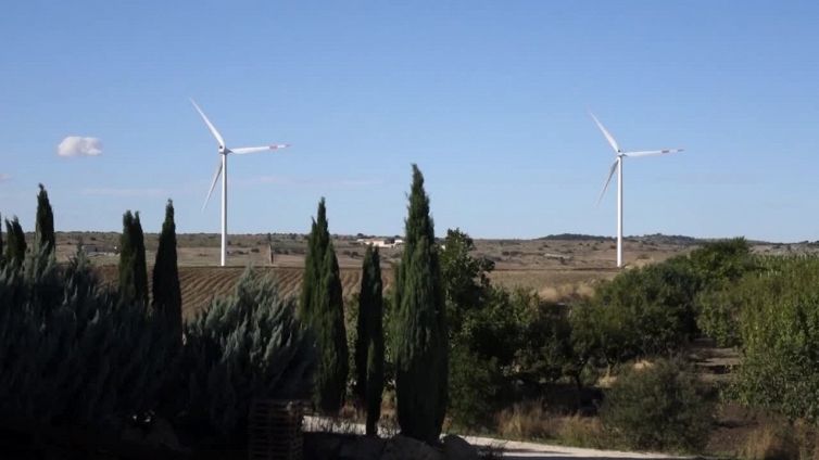 In Puglia il vino che va oltre l'agricoltura biodinamica