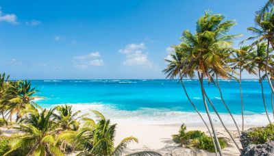 Caraibi, le isole più amate del mondo diventano green