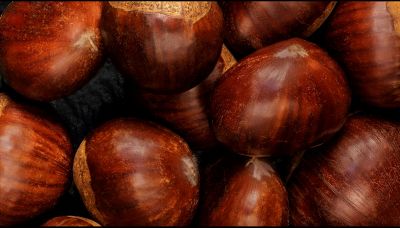 Come riconoscere e scegliere le castagne migliori
