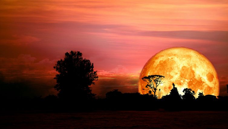 Sta per arrivare la prima luna piena d’autunno: quando ci sarà