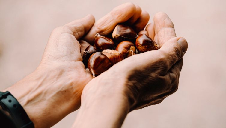 Come sbucciare le castagne cotte, il trucco dello strofinaccio