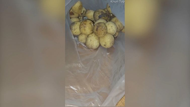Il sacco di patate nasconde un pericolo mortale