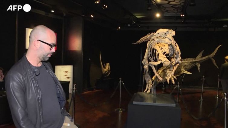 Parigi, Zephyr all'asta: e' un dinosauro fossilizzato di 150 milioni di anni fa