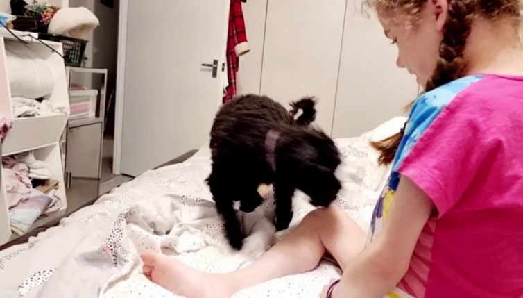 Il cane e la bimba con la distrofia: questo video vi commuoverà
