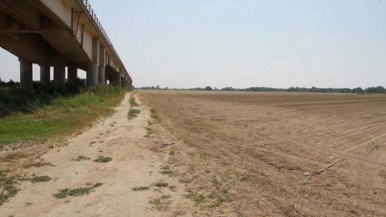 Bankitalia: "Cambio clima pesa su Pil e voti studenti"