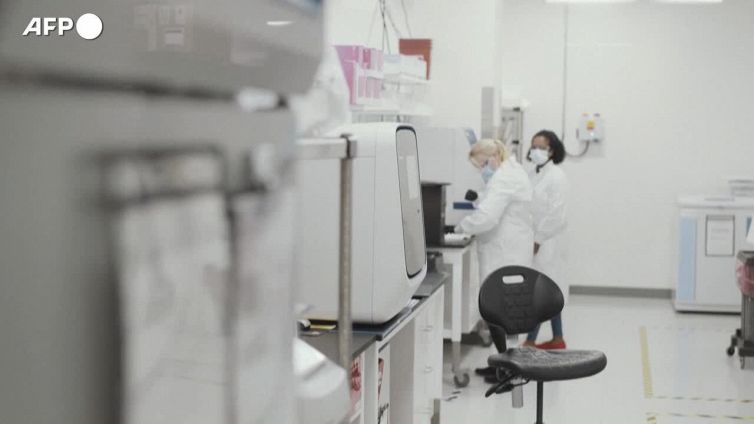 La sottovariante BQ.1.1 Cerberus al 7%, verso il raddoppio