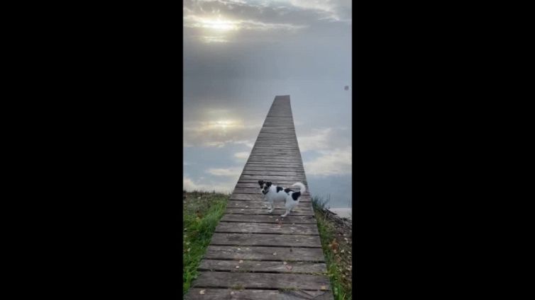 La scala che porta al cielo: l'effetto ottico è strabiliante