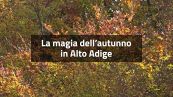 La magia dell'autunno in Alto Adige