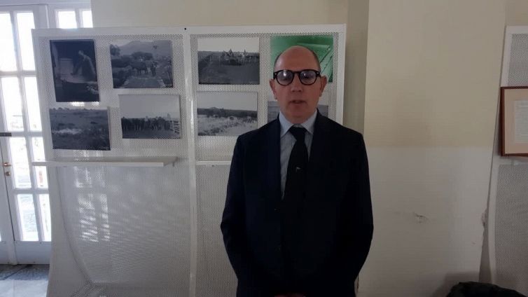 Dal cappellaio all'americano, tutti in fila per diventare casaro della bufala dop