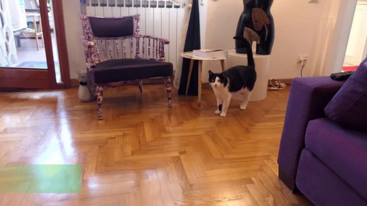 Licenziate da Alitalia e "vittime" dalla legge Fornero