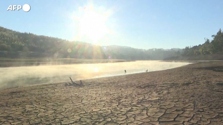 Cop27: il pianeta sempre piu' "bollente" negli ultimi 8 anni