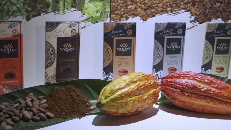 La filiera del cacao in un viaggio virtuale con i coltivatori