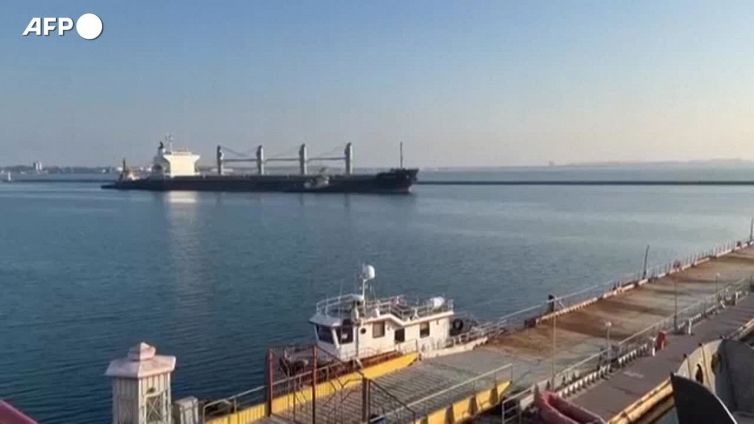 L'intesa sul grano ucraino prorogata di 4 mesi