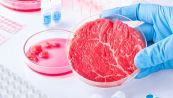 Arriva la carne sintetica: pro e contro, produzione e costi