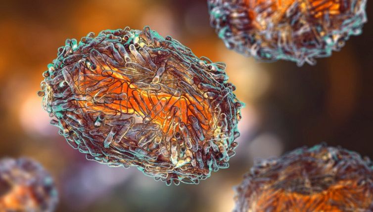 La misteriosa “epidemia X” che minaccia l'umanità