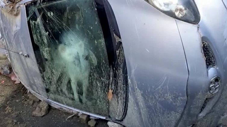Frana a Ischia: la commovente storia di Yuki