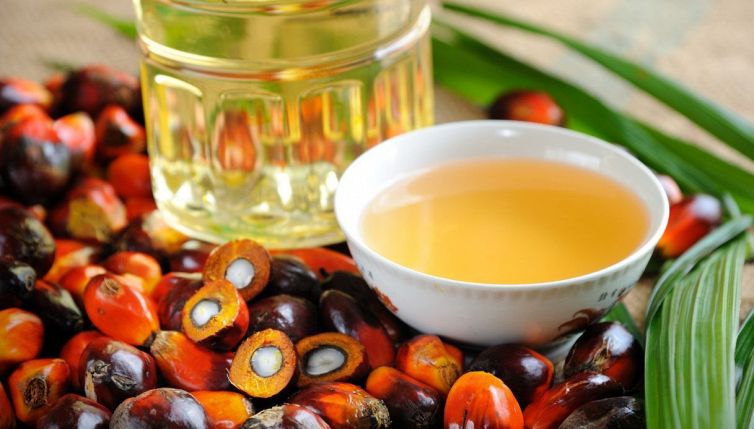 Torna l'olio di palma nei biscotti italiani, quali effetti ha sulla salute