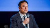 Elon Musk, Neuralink sotto inchiesta: le accuse sugli animali morti nei test