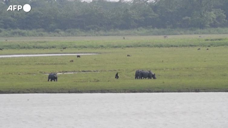 Cop15 sulla biodiversita', obiettivo 30% di territorio protetto
